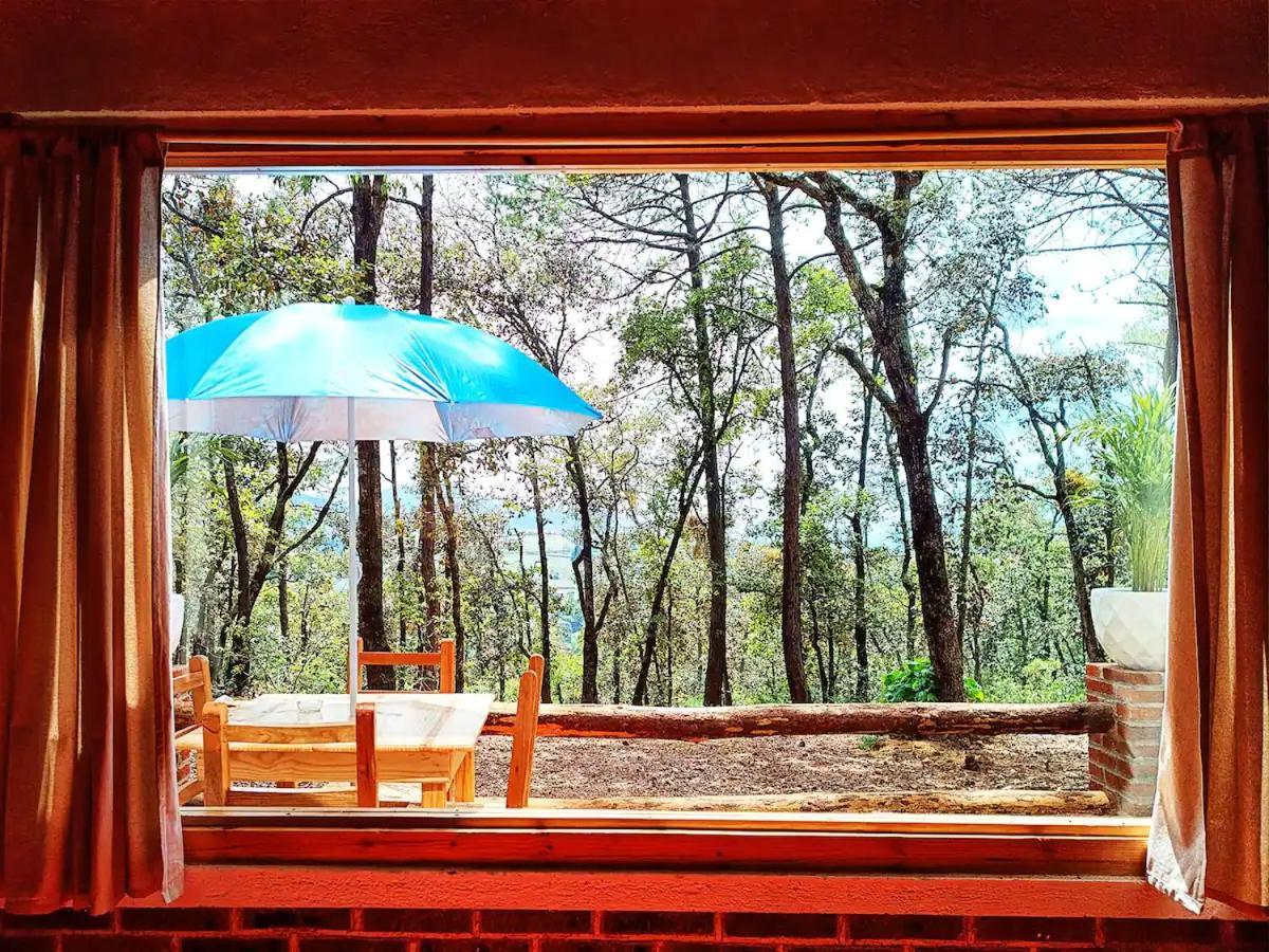 Cabana Para Pareja En El Bosque Ib Acaxochitlán エクステリア 写真