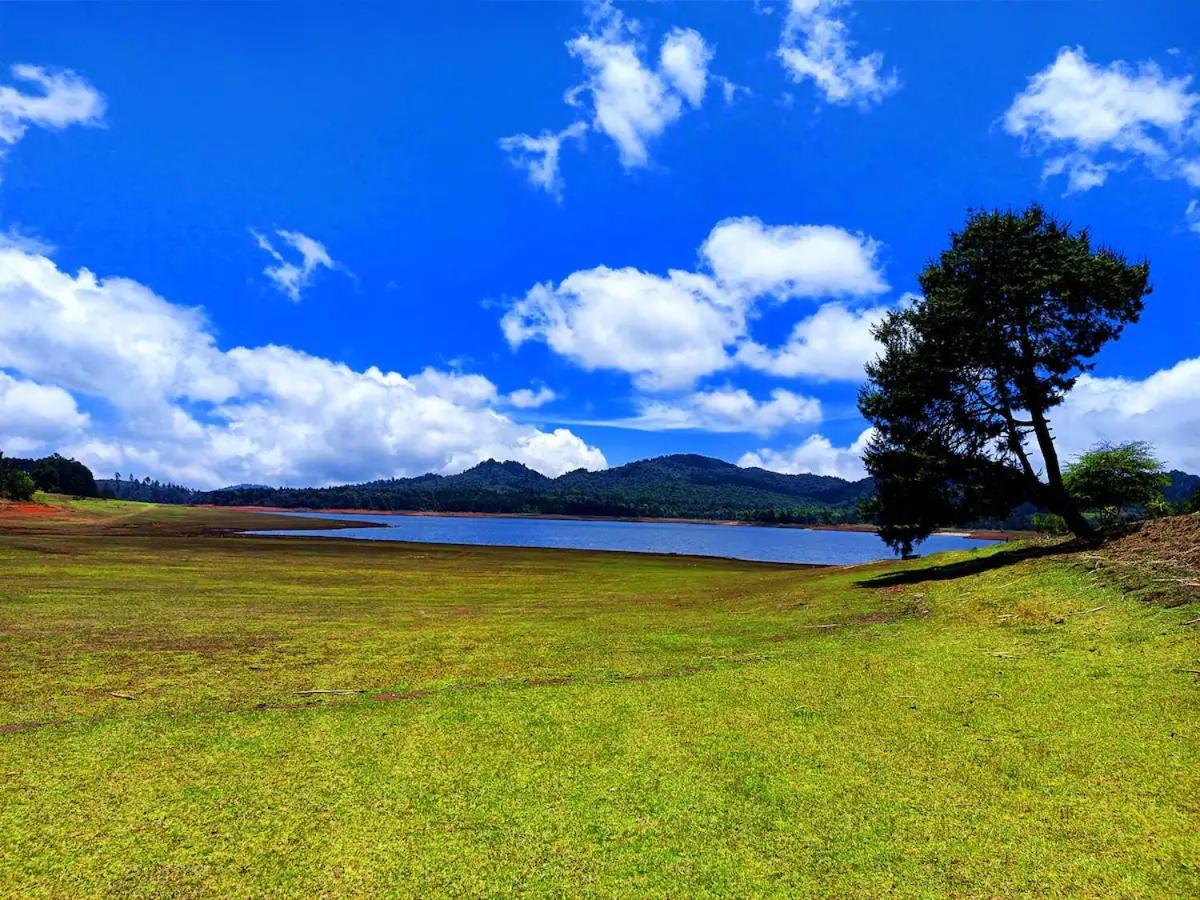 Cabana Para Pareja En El Bosque Ib Acaxochitlán エクステリア 写真